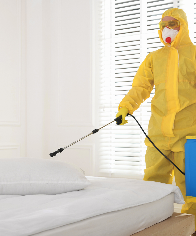 Professional Pest Control Team in Belair